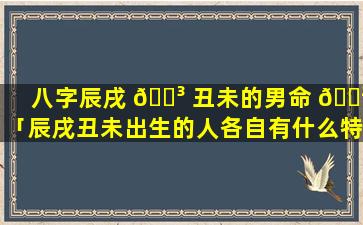 八字辰戌 🌳 丑未的男命 🌲 「辰戌丑未出生的人各自有什么特点」